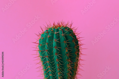 Fashion Neon art cactus on trendy pink background use for fashion style,creative idea,abstract art concept.,Houseplant trend idea.