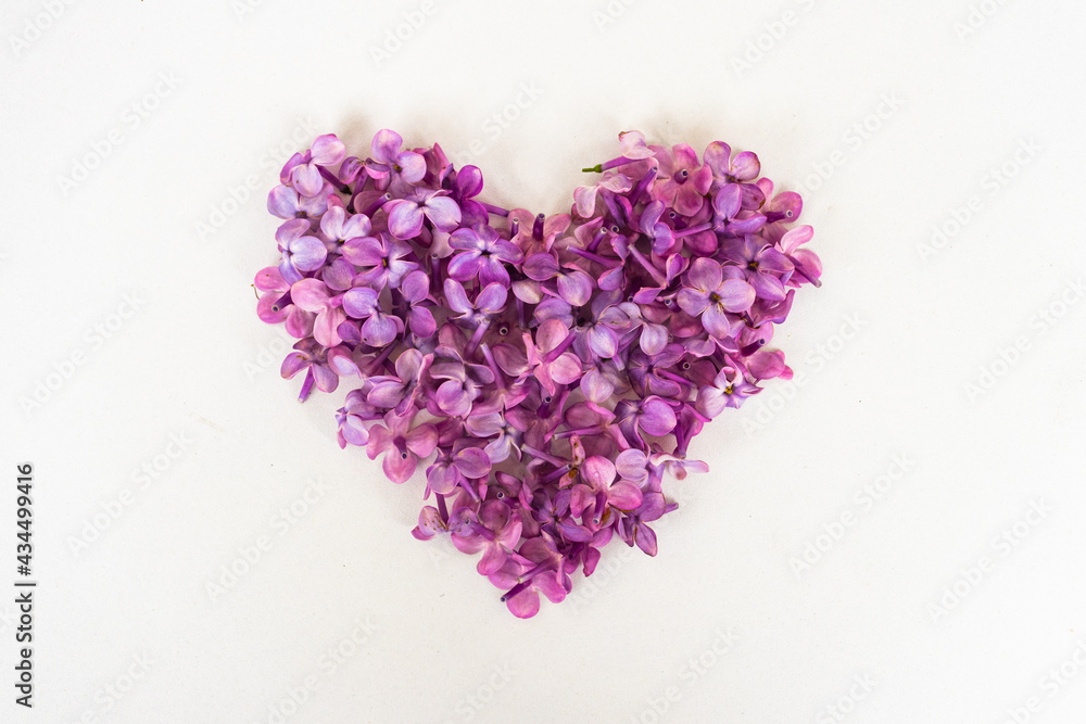 Flowers of a lilac in the form of a heart isolated on a white Flowers of a lilac in the form of a heart isolated on a white