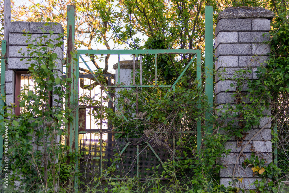 Gate of an abandoned house in the village. Old doorway and fence. Forsaken countryside garden Gate of an abandoned house in the village. Old doorway and fence. Forsaken countryside garden