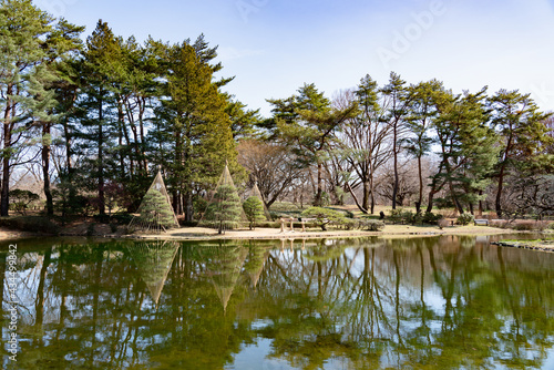 神代植物公園の池