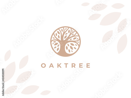 Circle Oak tree logo icon sign. Abstract round garden plant natural symbol. Branch with leaves template. Vector illustration.