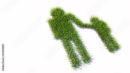 Concept or conceptual green summer lawn grass symbol isolated white background, adult and child holding hands sign. 3d illustration metaphor for family, education, warning, prevention and security