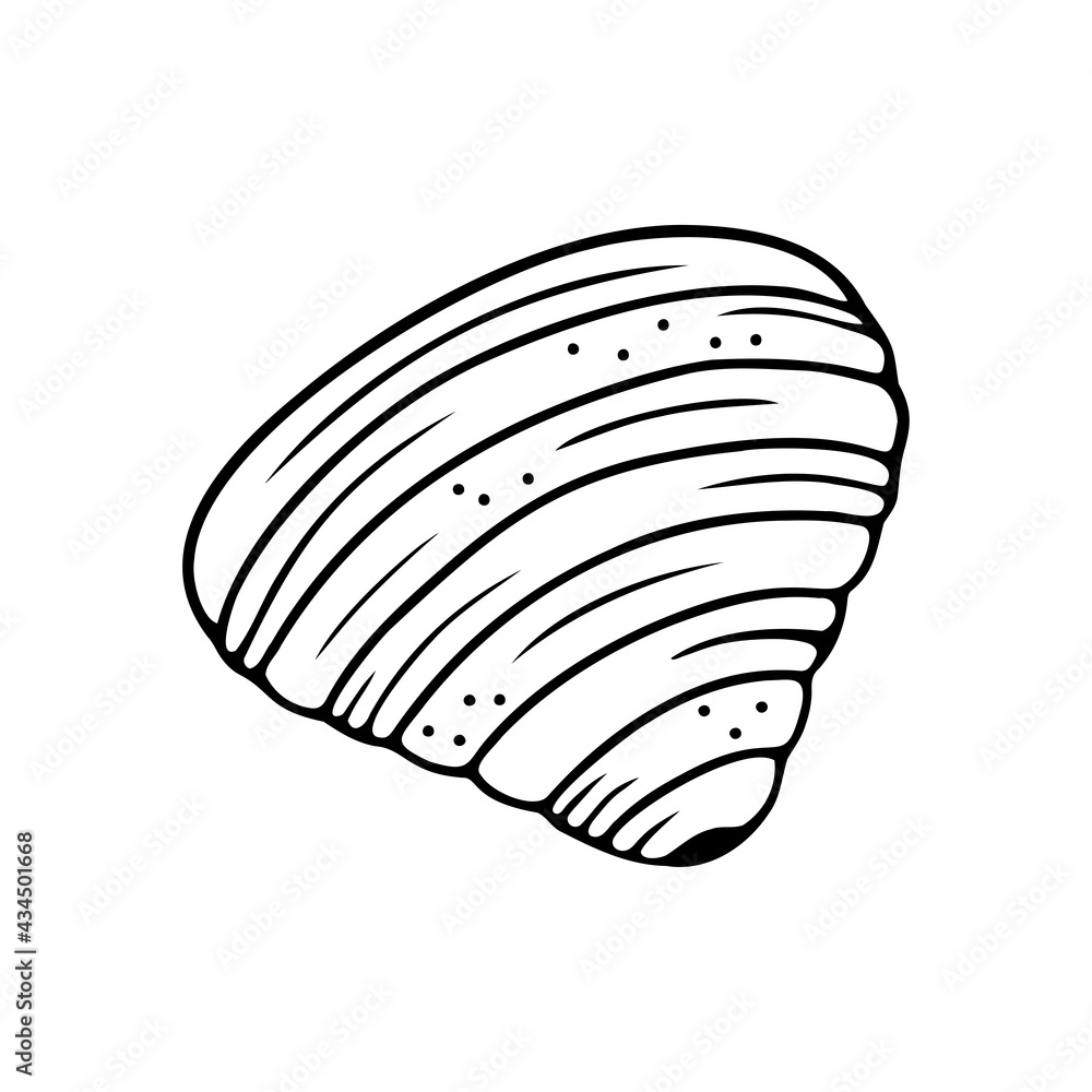 Hand drawn seashell isolated on a white background. Doodle, simple outline illustration. It can be used for decoration of textile, paper. Hand drawn seashell isolated on a white background. Doodle, simple outline illustration. It can be used for decoration of textile, paper.
