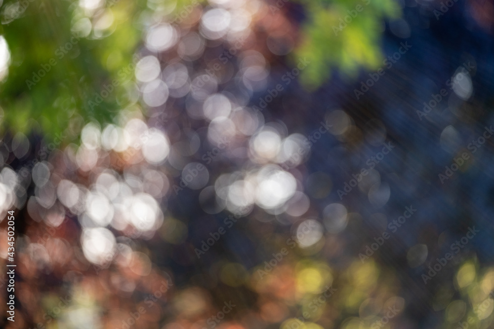 Abstrakter grüner und roter Hintergrund mit schimmernden Lichtern in der Natur aufgenommen Abstrakter grüner und roter Hintergrund mit schimmernden Lichtern in der Natur aufgenommen