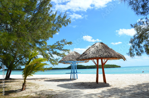 Cayo Blanco en el norte de Cuba  Palapas o sombrillas de paja en la playa  palmeras y mar turquesa