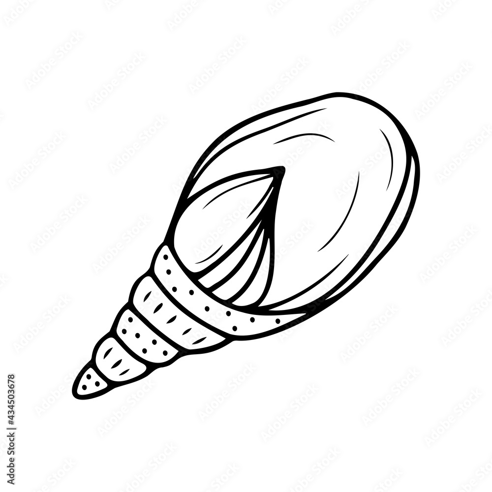 Hand drawn seashell isolated on a white background. Doodle, simple outline illustration. It can be used for decoration of textile, paper. Hand drawn seashell isolated on a white background. Doodle, simple outline illustration. It can be used for decoration of textile, paper.
