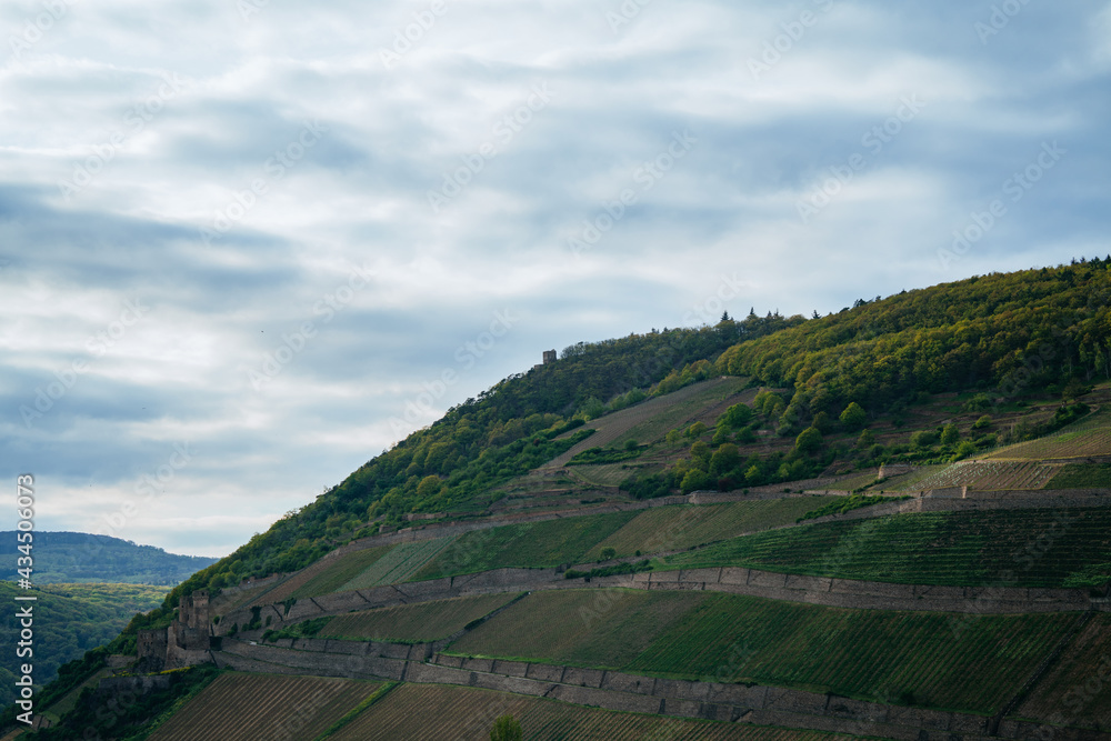 The small town of Rüdesheim, Germany, known as The small town of Rüdesheim, Germany, known as