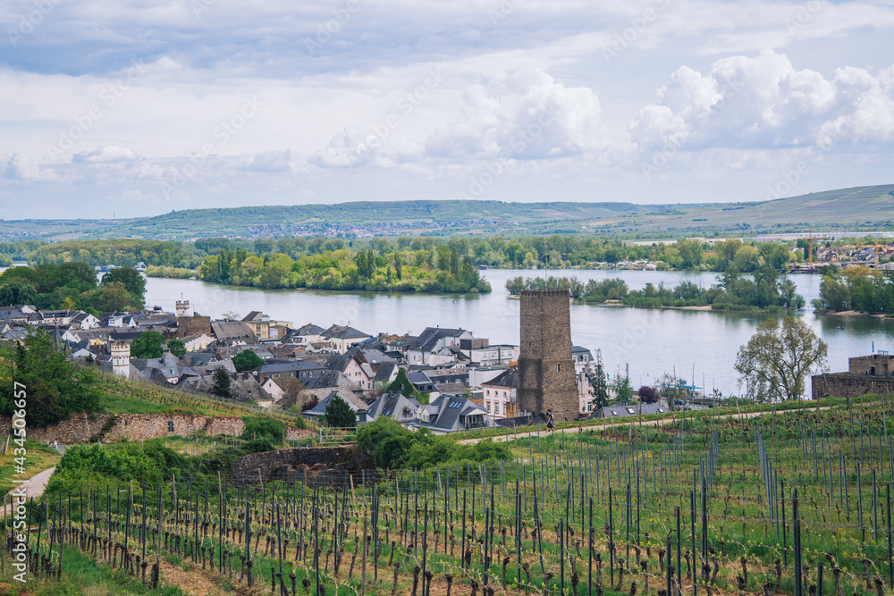 A full view of the town of Rüdesheim, Germany, known as 