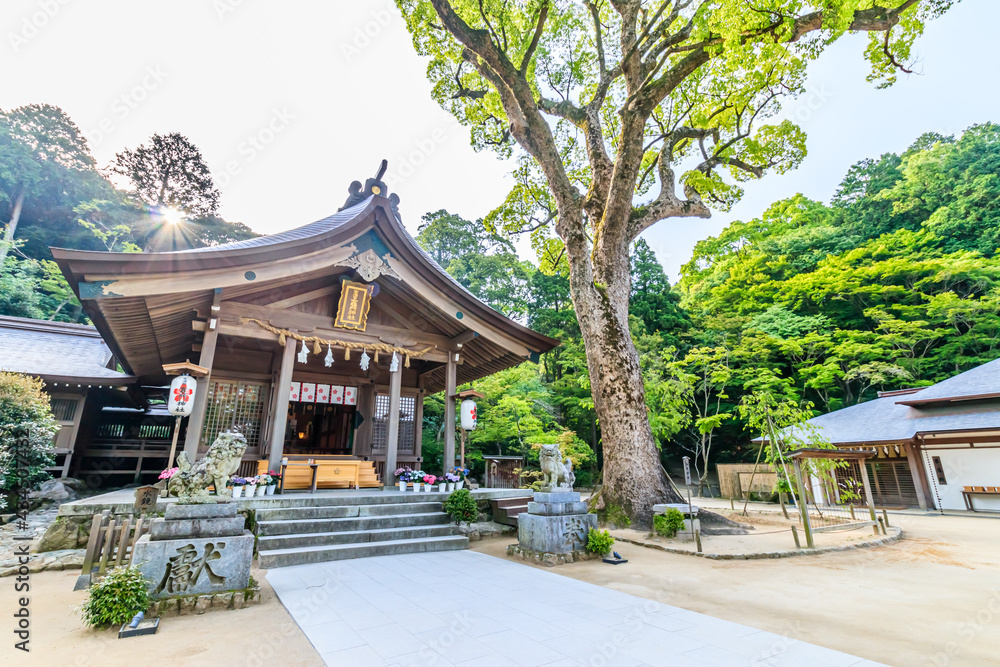 Fototapeta premium 竈門神社 福岡県太宰府市 Kamado Shrine Fukuoka-ken Dazaifu city