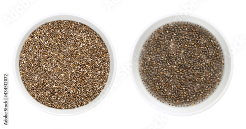 Chia seeds, raw and soaked in water, in white bowls. Fruits of Salvia hispanica, very hygroscopic, absorbing twelve times their weight, giving food a gel texture. Close-up from above macro food photo.
