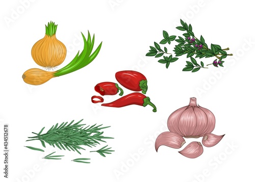 Condiments and spices. Set.