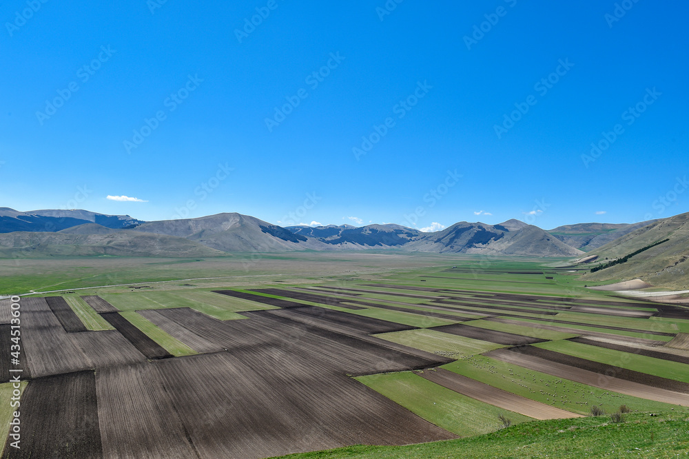 cultivation of fields in Castelluccio di Norcia plain Sibillini Mountains National Park in Umbria Region Italy
