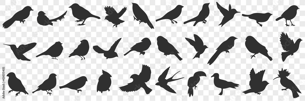 Silhouettes of birds doodle set. Collection of hand drawn various black silhouettes of flying sitting birds with wings in rows isolated on transparent background Silhouettes of birds doodle set. Collection of hand drawn various black silhouettes of flying sitting birds with wings in rows isolated on transparent background