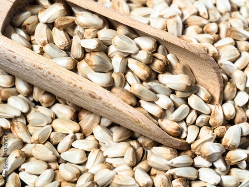 Canvas-taulu scoop on pile of Safflower seeds closeup