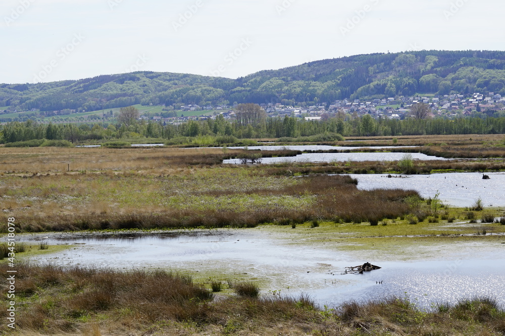 Moorgebiet in Nrw in deutschland Moorgebiet in Nrw in deutschland