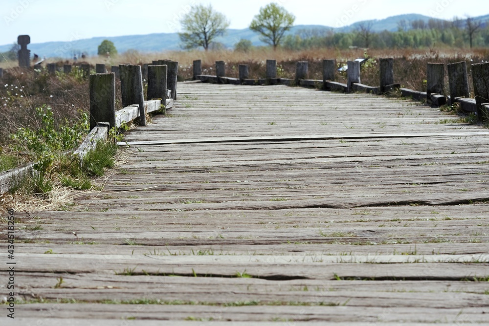 Fototapeta premium Wanderweg aus Holz