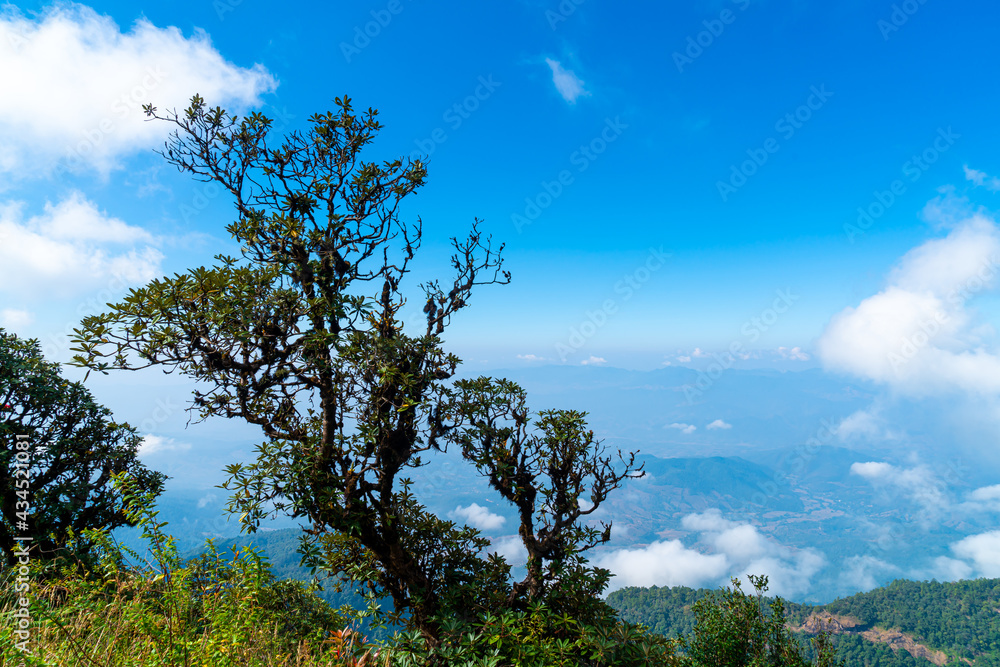Obraz premium beautiful mountain layer with clouds and blue sky