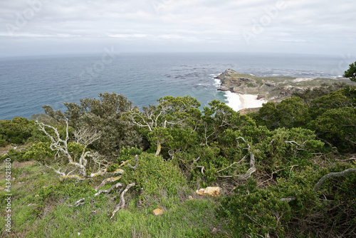 Südafrika - Kap der guten Hoffnung - Cape Point - Dias Beach