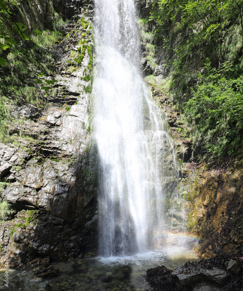 water of the waterfall in the middle of the lush forest