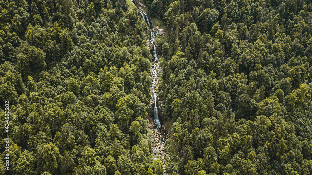 Obraz premium A forest and a waterfall from a Birdseye view