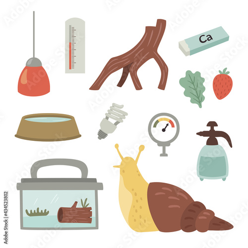 vector set of an achatina snail care