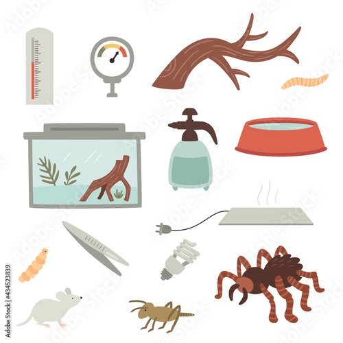 vector set of a tarantula care items