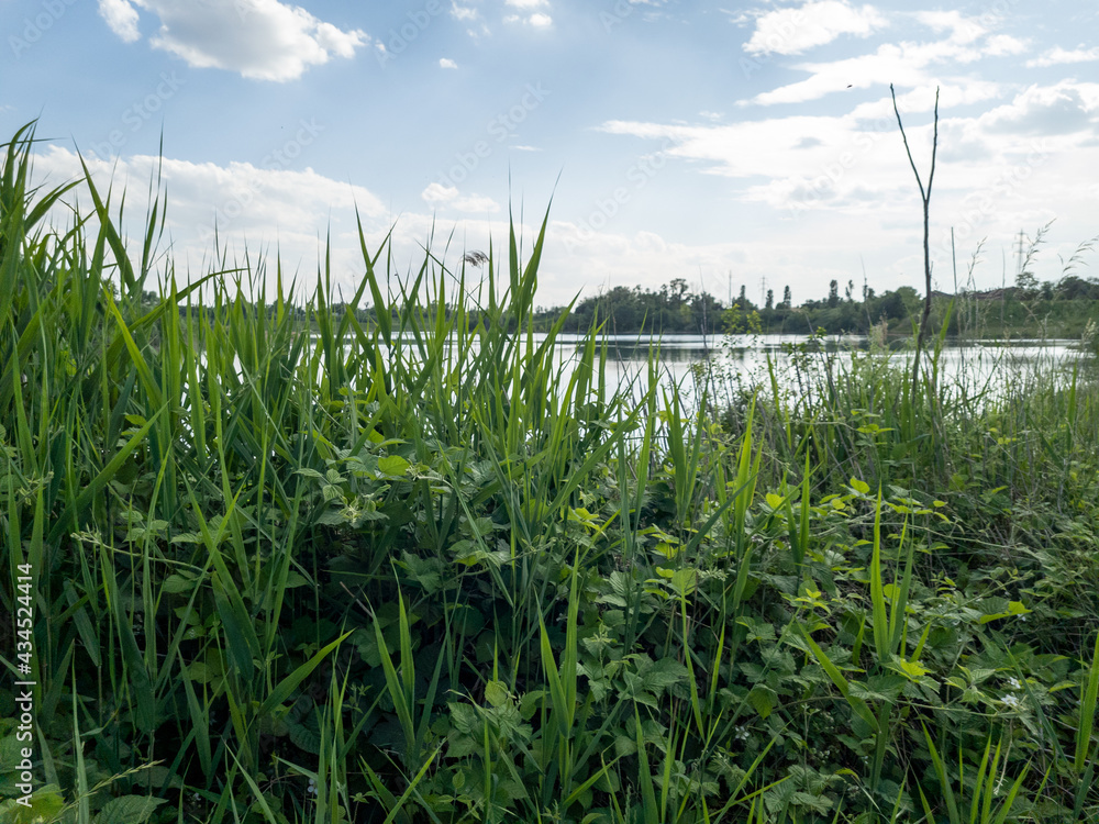 Obraz premium parco delle cave