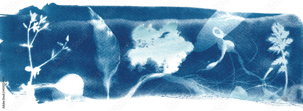Banner in blue, cyanotype of beach finds, feather, kelp and shells, printed with the sun - obrazy, fototapety, plakaty 