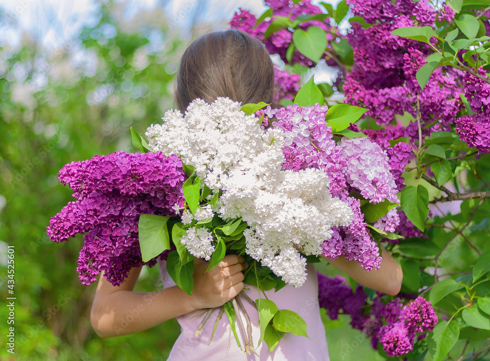 girl holding in front of her a bouquet of lilacs girl holding in front of her a bouquet of lilacs