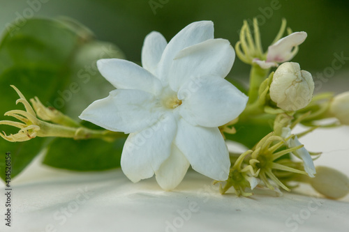 Jasmine flower of the heart, helps love purity. © muangsatun