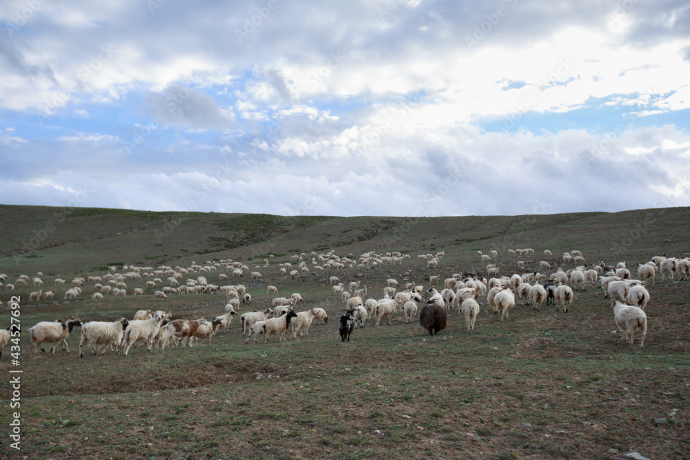 Obraz premium Landscape of beautiful lake in tibet