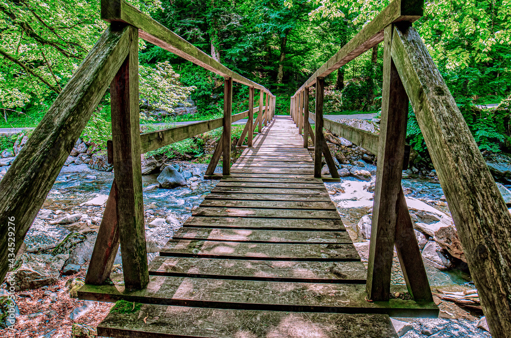 Old wooden bridge in the Pyrenees of France. Old wooden bridge in the Pyrenees of France.