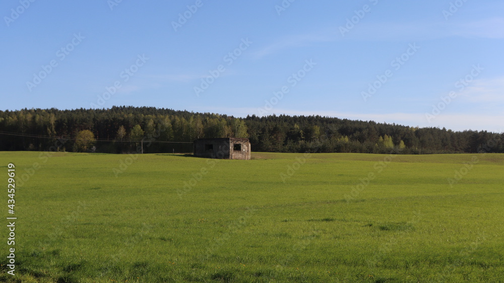 Fototapeta premium abandoned army casemetas in green field