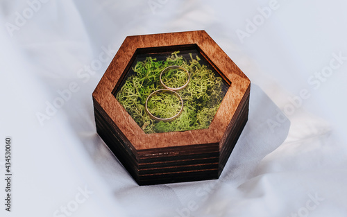 Two wedding rings in a wooden box with a moss plant on a white background with veil © Daria Lukoiko
