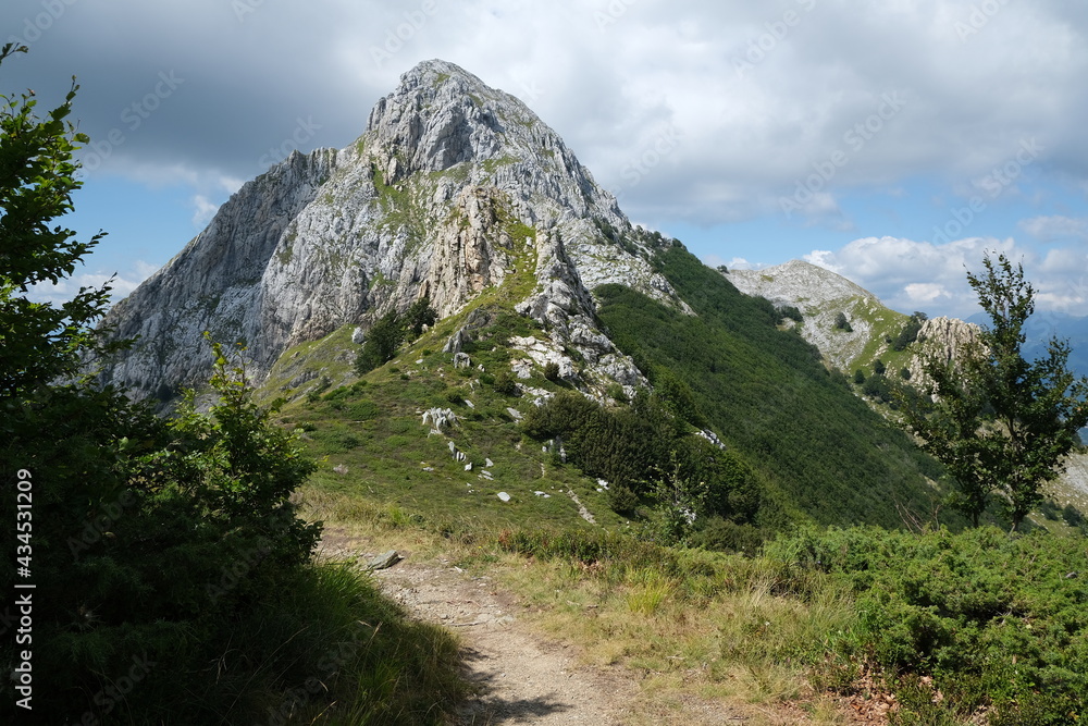Trail on the top of a mountain in the Apuan Alps in Tuscany.The rock at the top of the mountains contrasts with the green of the meadows and plants. Apuan Alps, Tuscany, Italy. 
