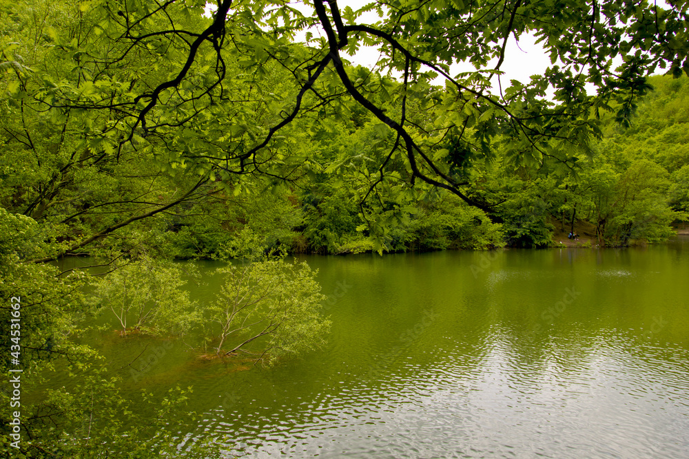 Obraz premium beautiful landscape in Agva, Istanbul Turkey in summer