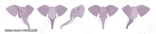 Animal mask grey elephant head, faux taxidermy gallery wall mount decor. Hunting trophy, zoo museum hanging, avatar. Vector flat style cartoon illustration isolated, white background, different views