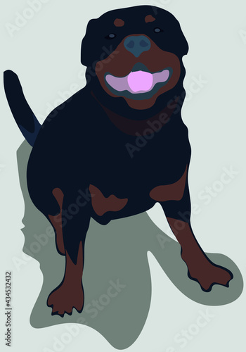 dog cartoon