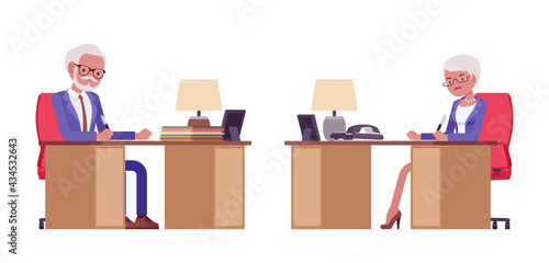 Handsome old man, woman elderly businesspeople in elegant suit at work desk. Bossy senior manager, gray haired persons above 50 years. Vector flat style cartoon illustration isolated, white background