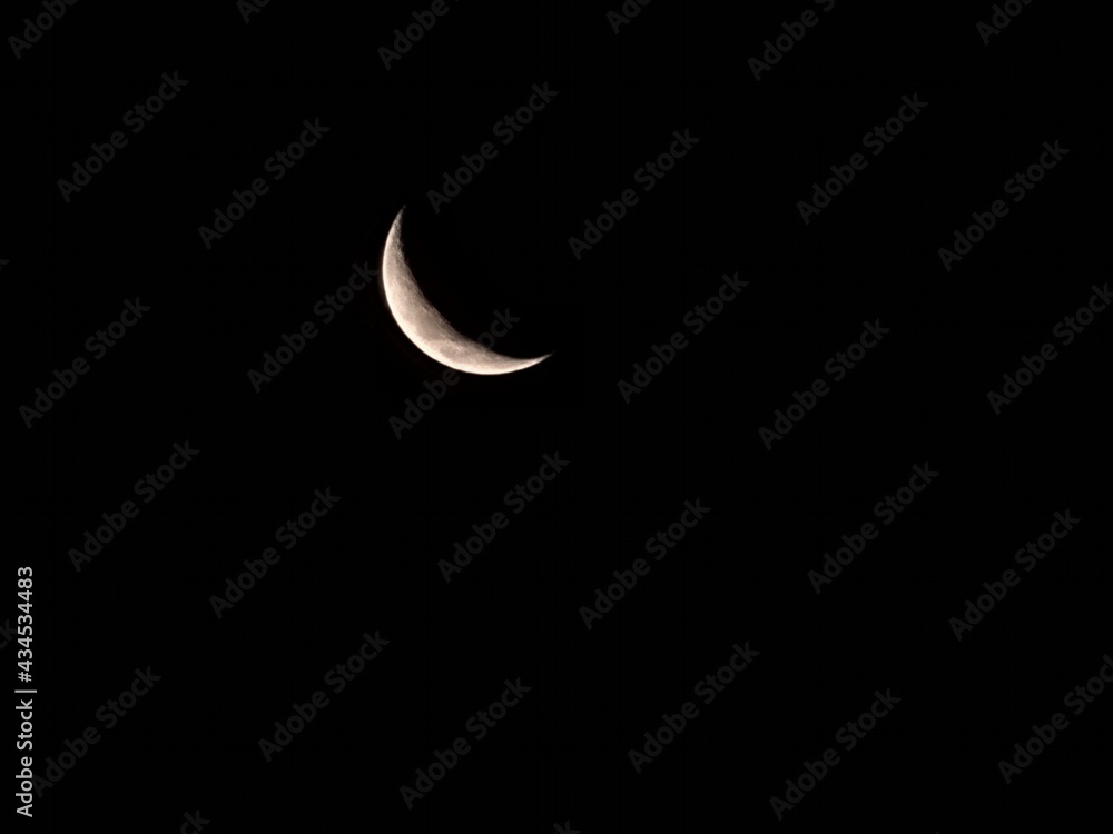 moon moon