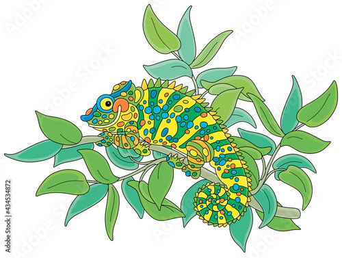 Funny multi colored chameleon, exotic lizard with protruding eyes and a prehensile tail, hiding among green leaves of a tropical tree branch in a wild jungle, vector cartoon illustration