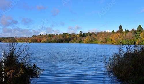 Blue skies, trees turning and lake view in autumn