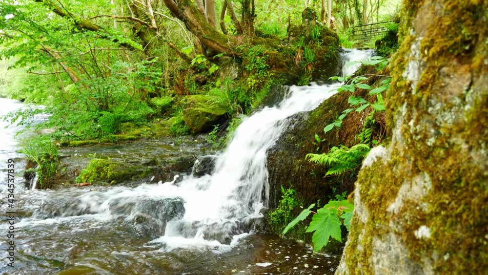 Beautiful fresh flowing clear waterfall cascades in peaceful green forest foliage environment Beautiful fresh flowing clear waterfall cascades in peaceful green forest foliage environment