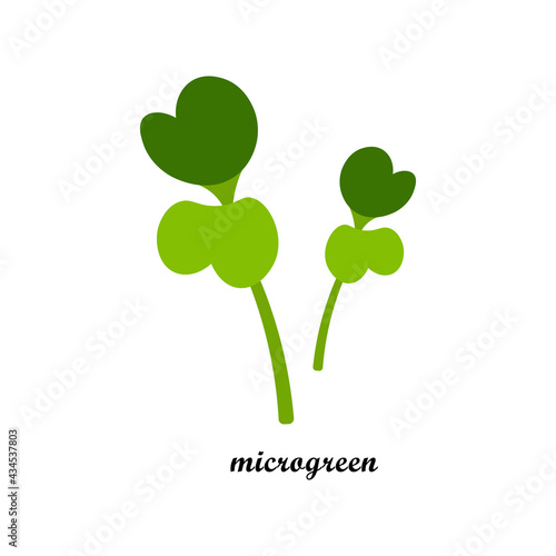 Vector illustration of microgreen leaves with title text isolated on white background.