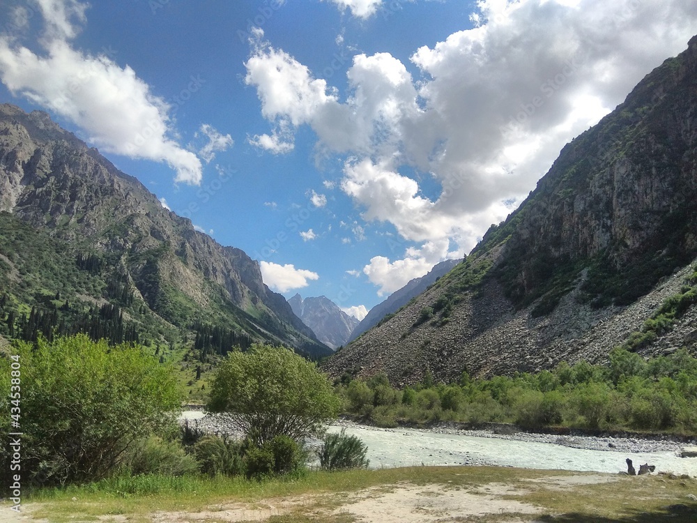 Obraz premium landscape with lake