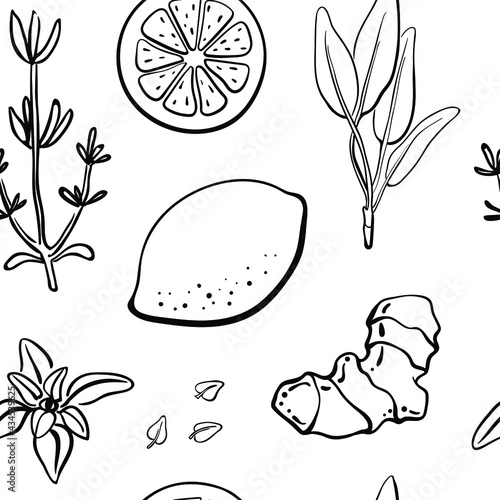 Seamless pattern with fruits and herbs for immunity stimulation in black line sketchy style isolated on white background. Doodle hand drawn vector illustration