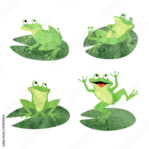 Cartoon frogs sitting on lily pads. Vector watercolor  green toads illustration.
