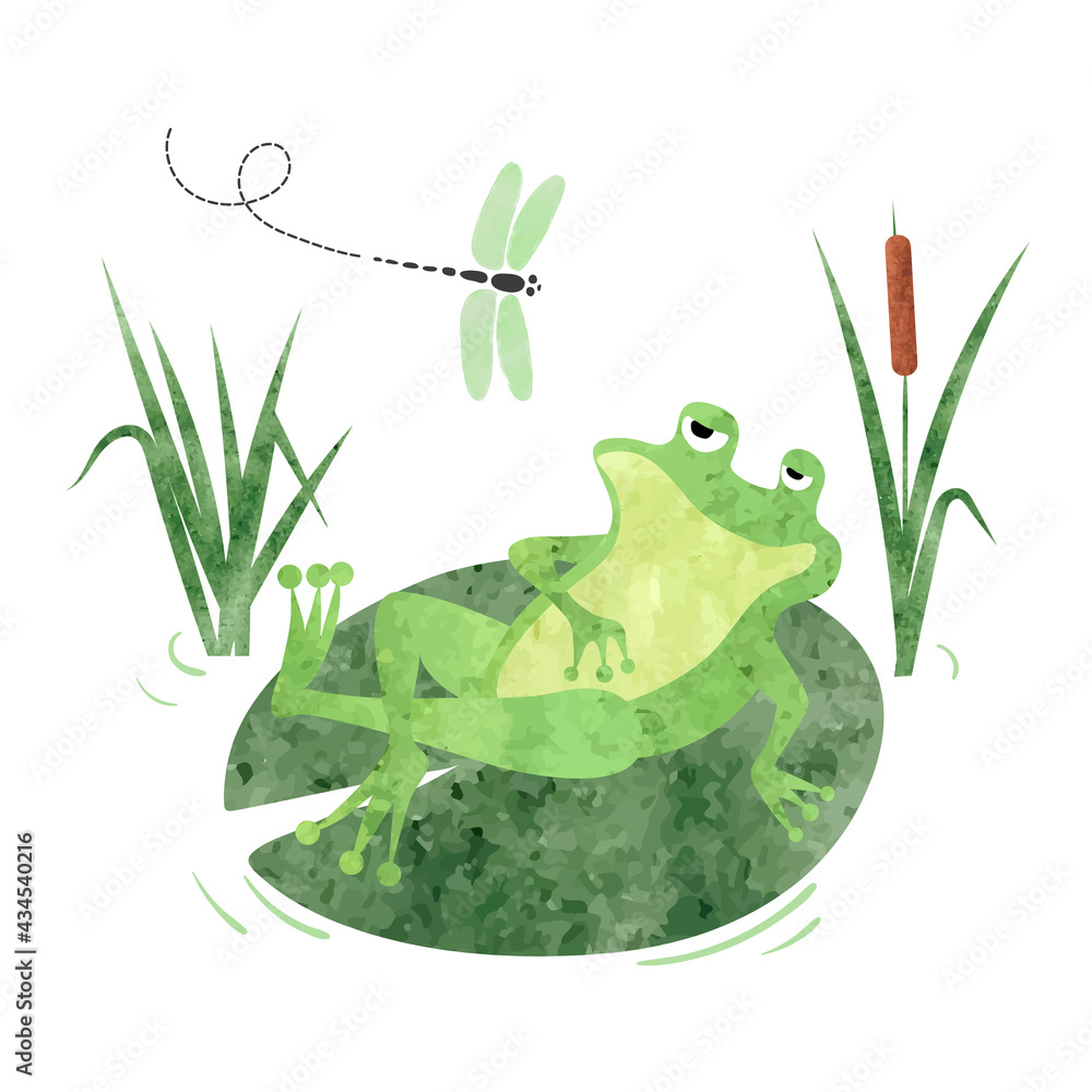 Cartoon lazy Frog on lily pad. Vector watercolor illustration for kids