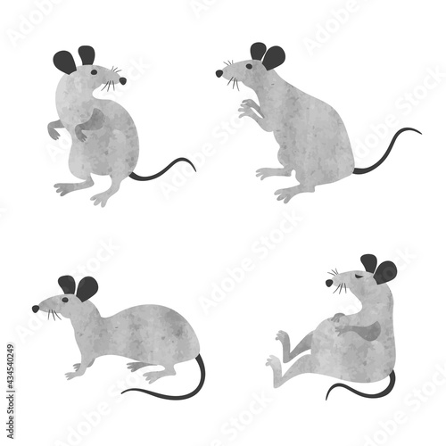 Set of cute little rats. Ve...