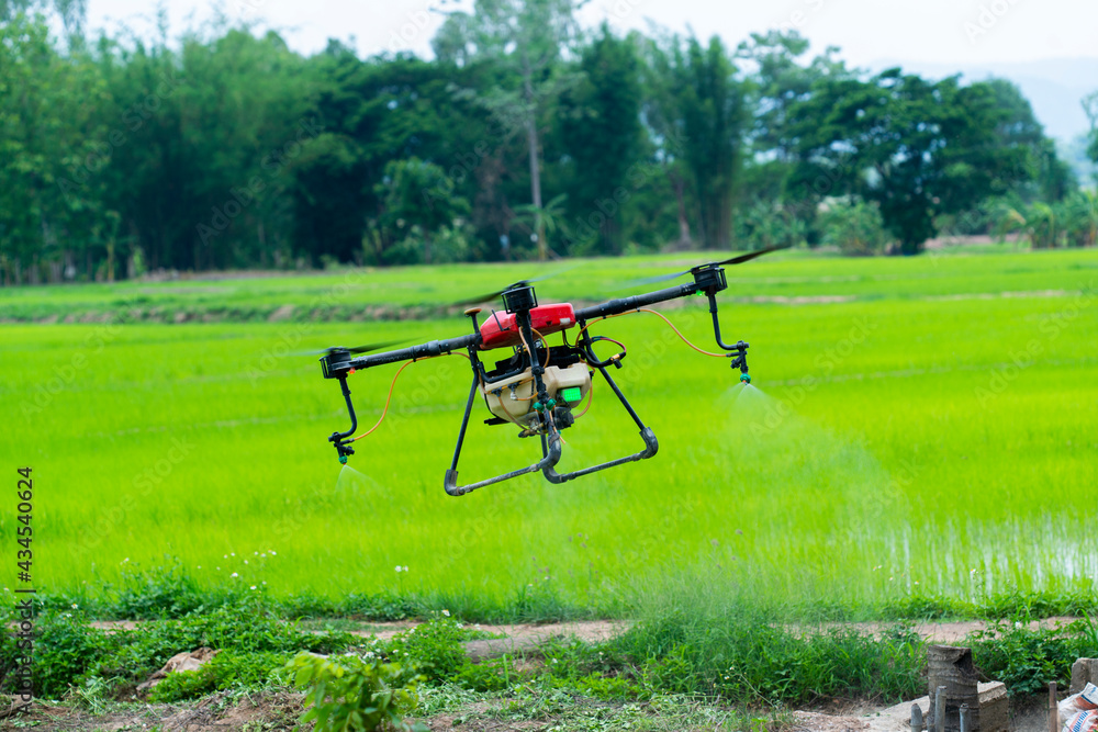 Modern Thai farmers use drones to spray chemicals Above the rice fields Modern Thai farmers use drones to spray chemicals Above the rice fields